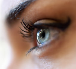 Dry Eye Treatment