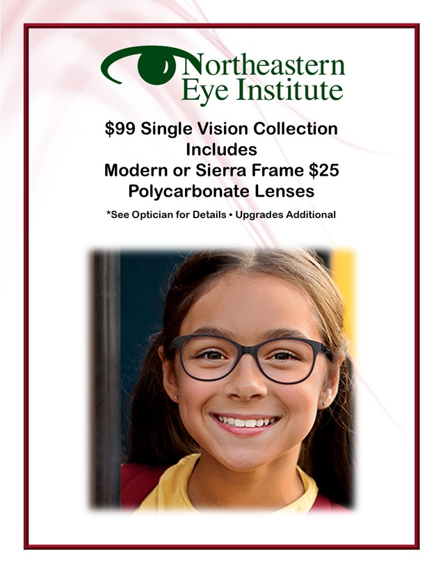 NEI Frame Package SV99